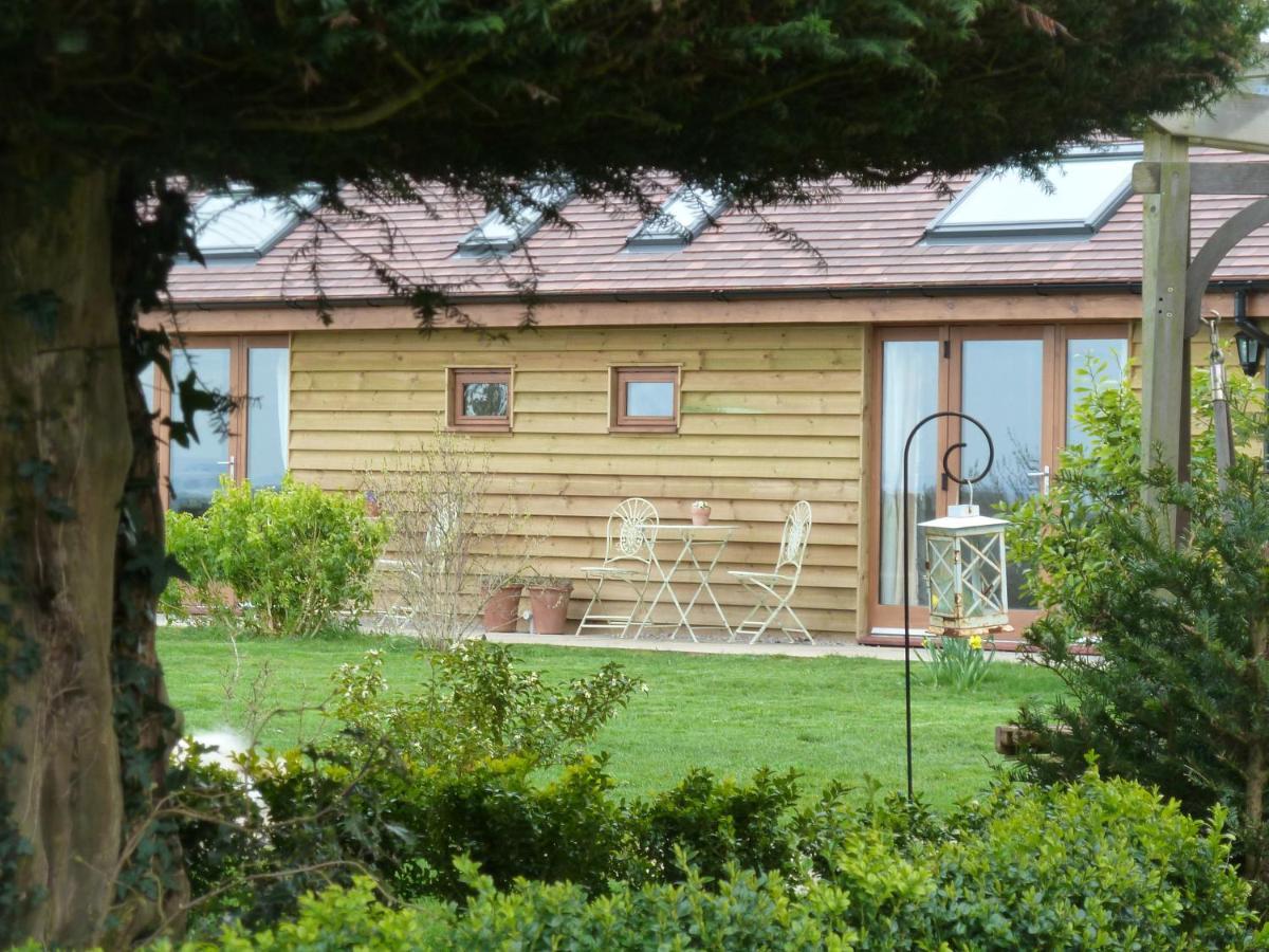 The Lodge, At Orchard Cottage Much Marcle Exteriör bild