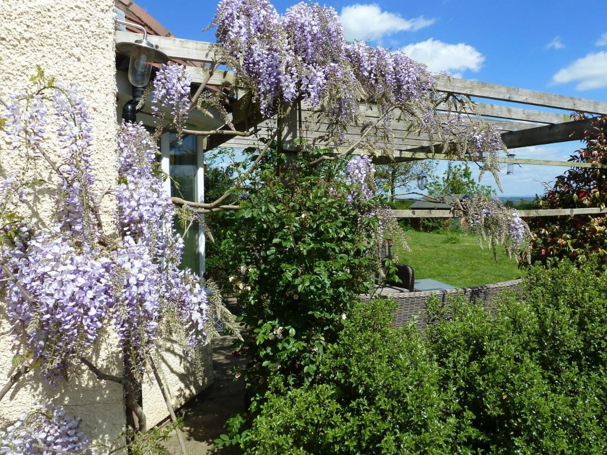 The Lodge, At Orchard Cottage Much Marcle Exteriör bild