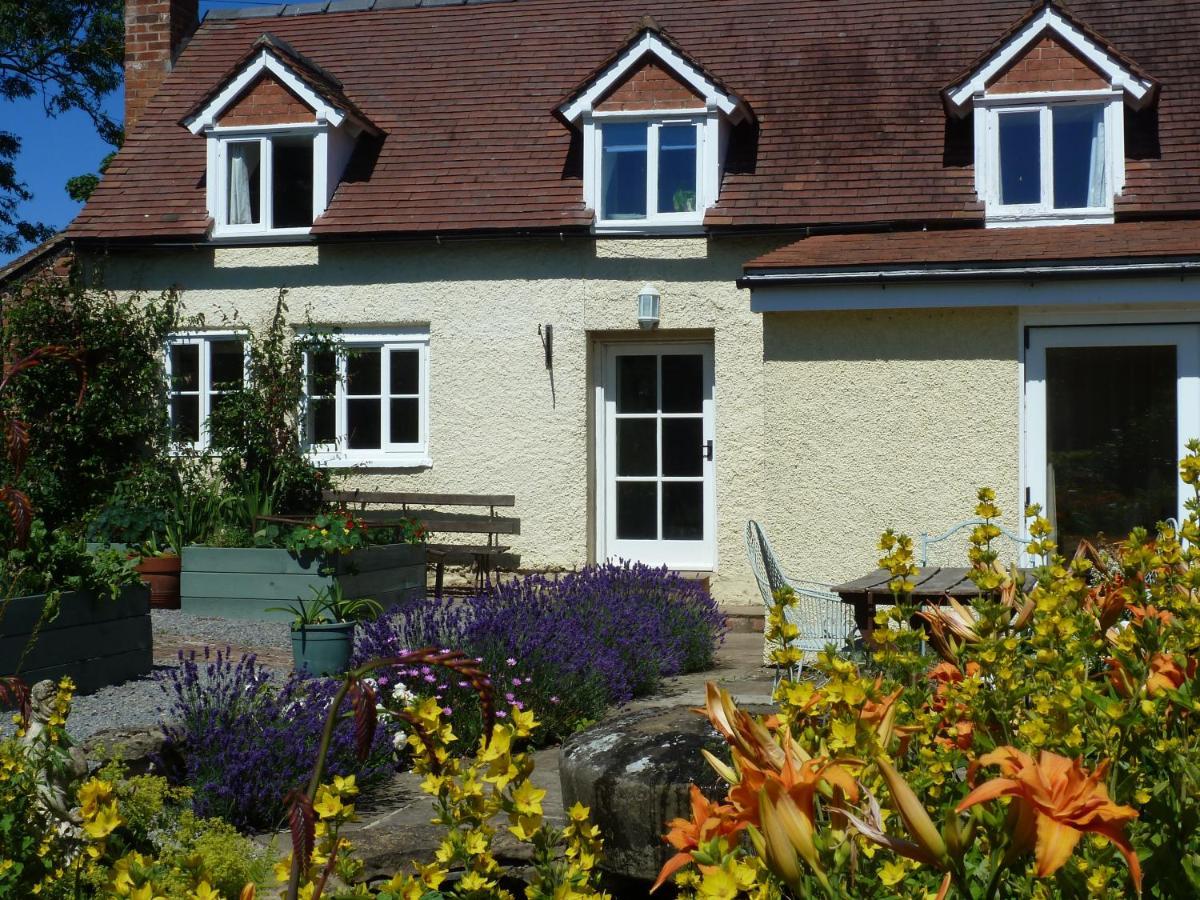 The Lodge, At Orchard Cottage Much Marcle Exteriör bild