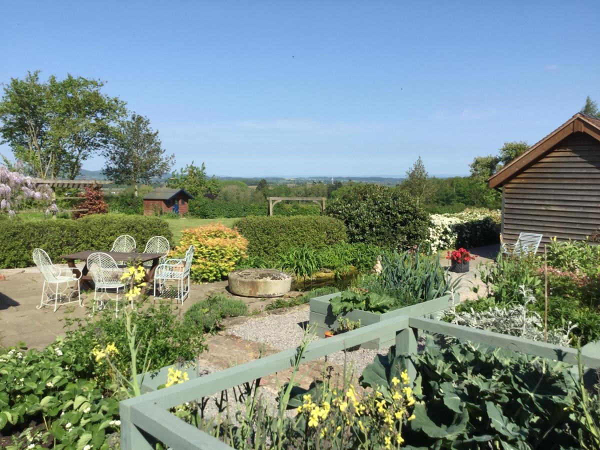 The Lodge, At Orchard Cottage Much Marcle Exteriör bild